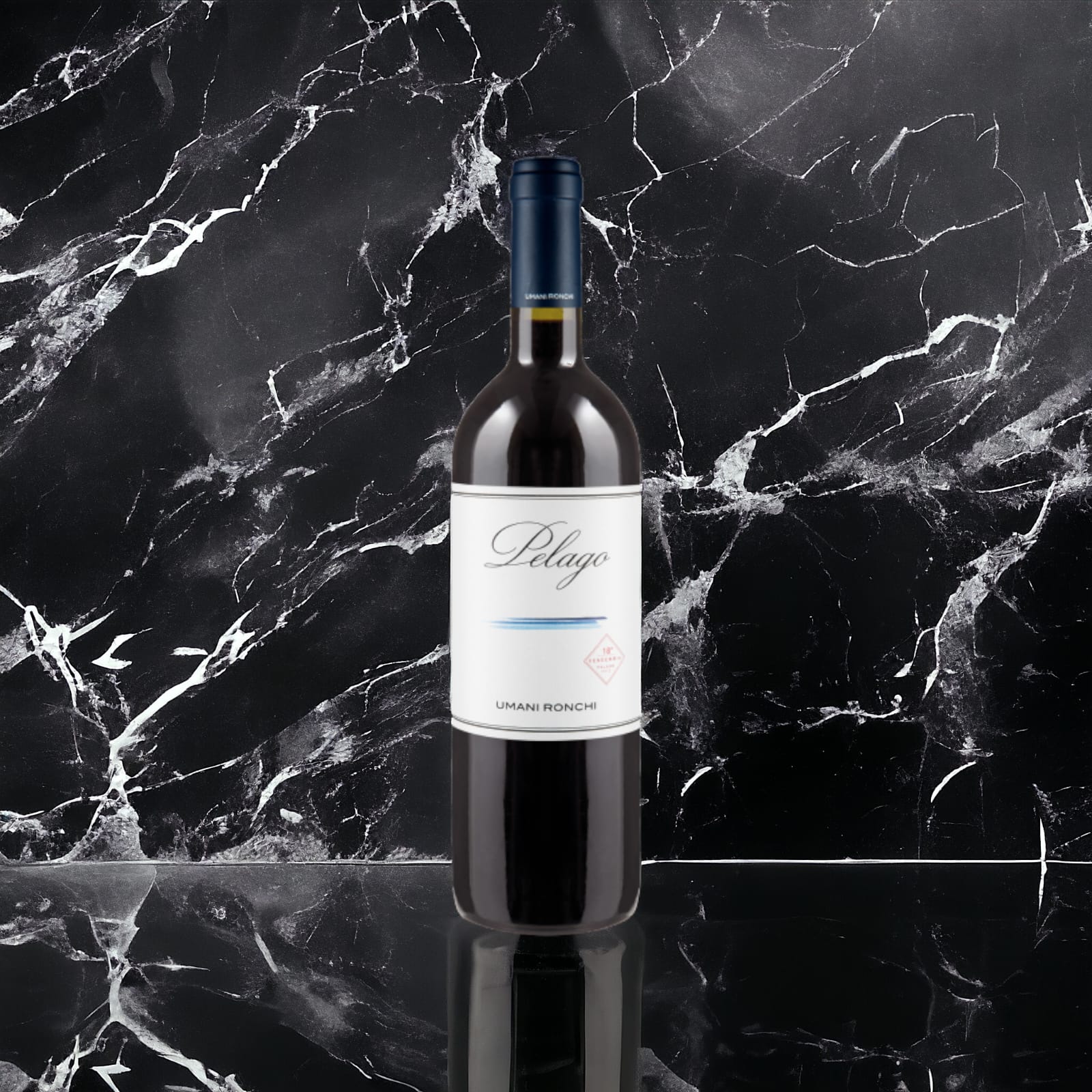 WhatsApp Image 2024-04-27 at 13.51.57