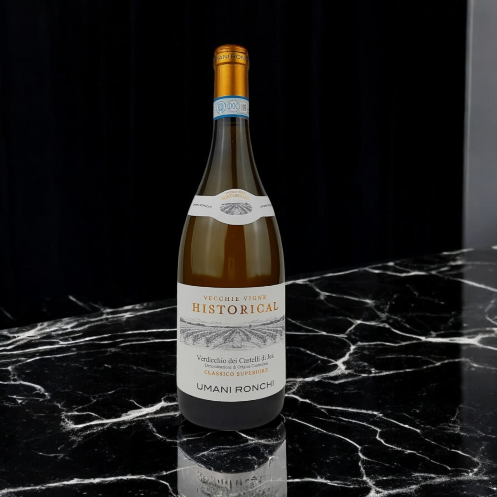 WhatsApp Image 2025-01-23 at 15.40.34